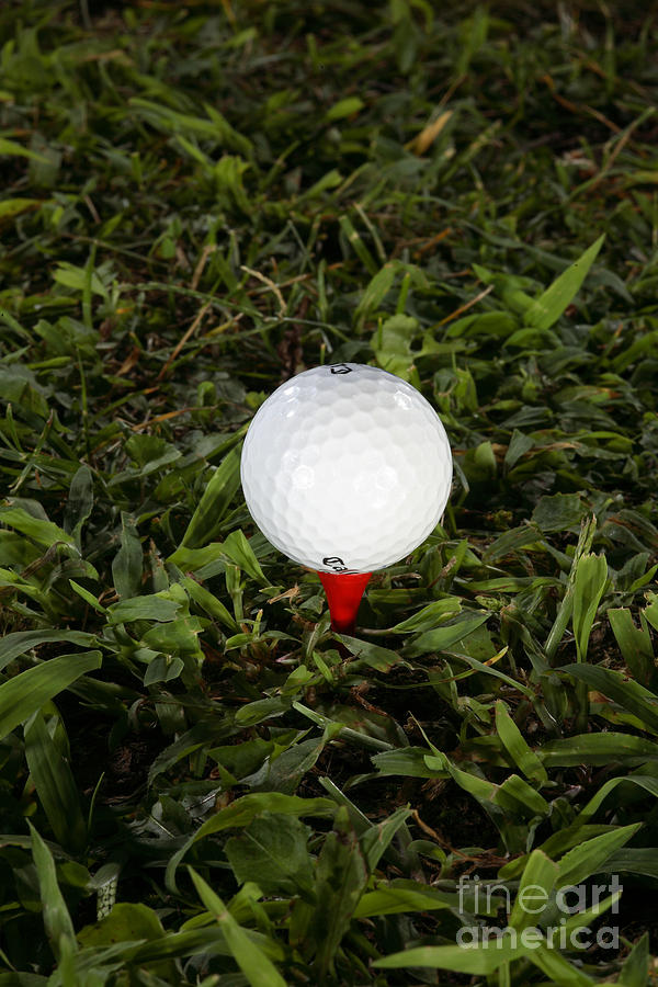 Golf Ball #1 Photograph by Ted Kinsman