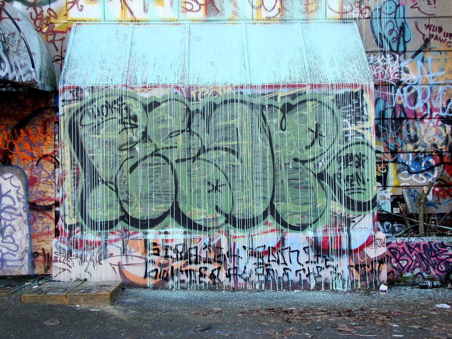Graffiti - Tubs IV #1 Photograph by Kathleen Grace