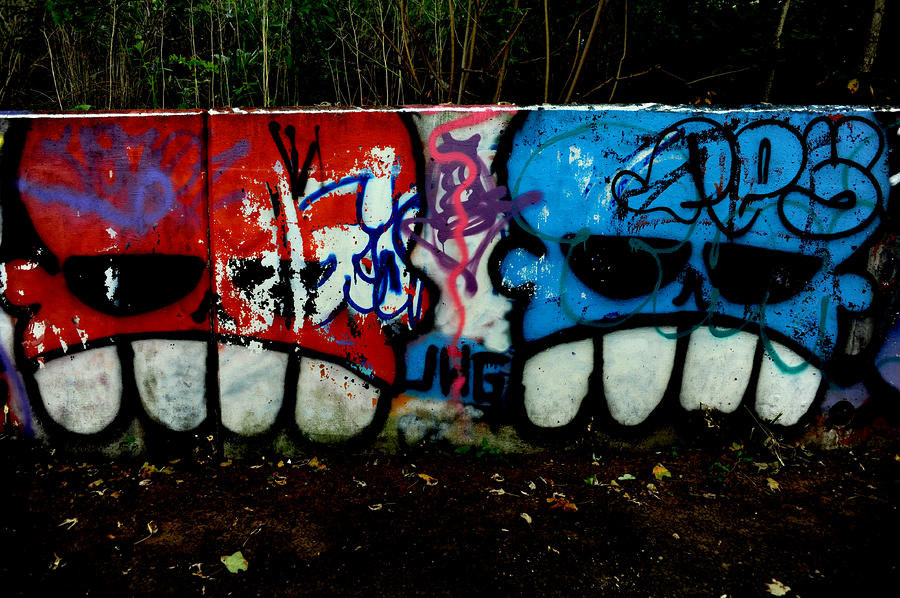 Graffiti Photograph - Graffiti wall #1 by Frank DiGiovanni