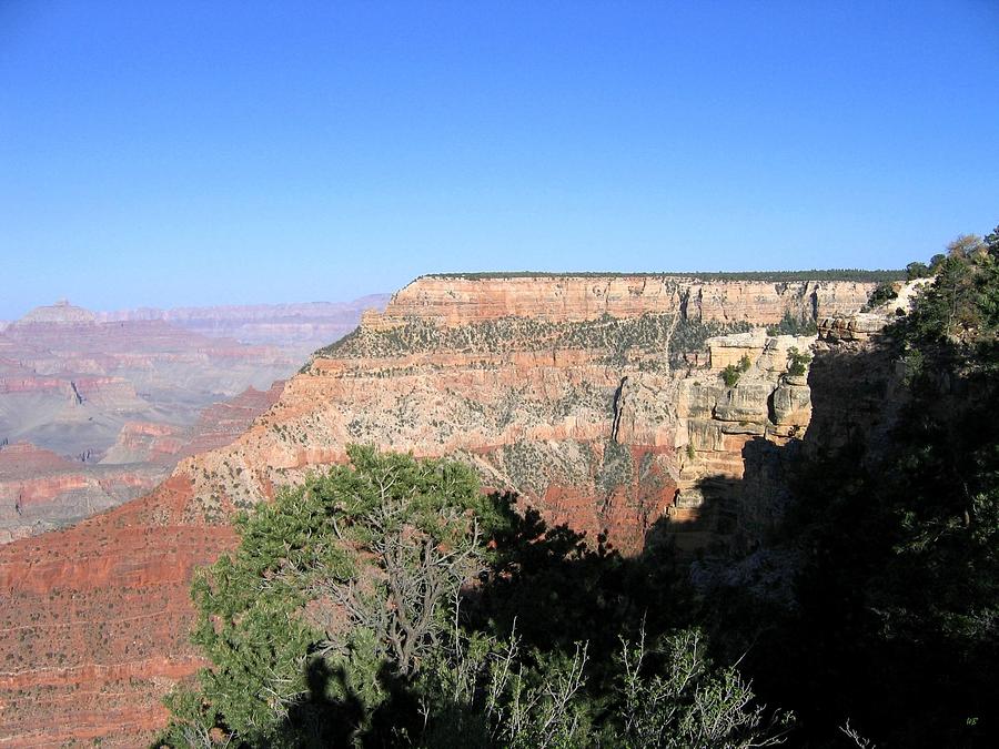 Grand Canyon 2 #1 Photograph by Will Borden