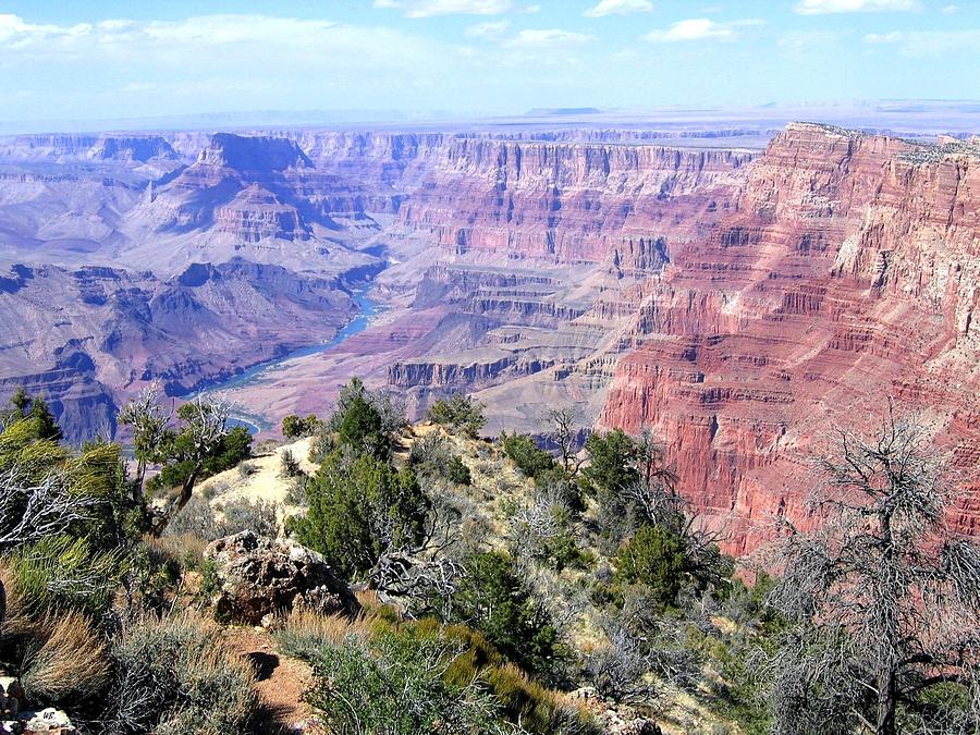 Grand Canyon 8 Photograph by Will Borden