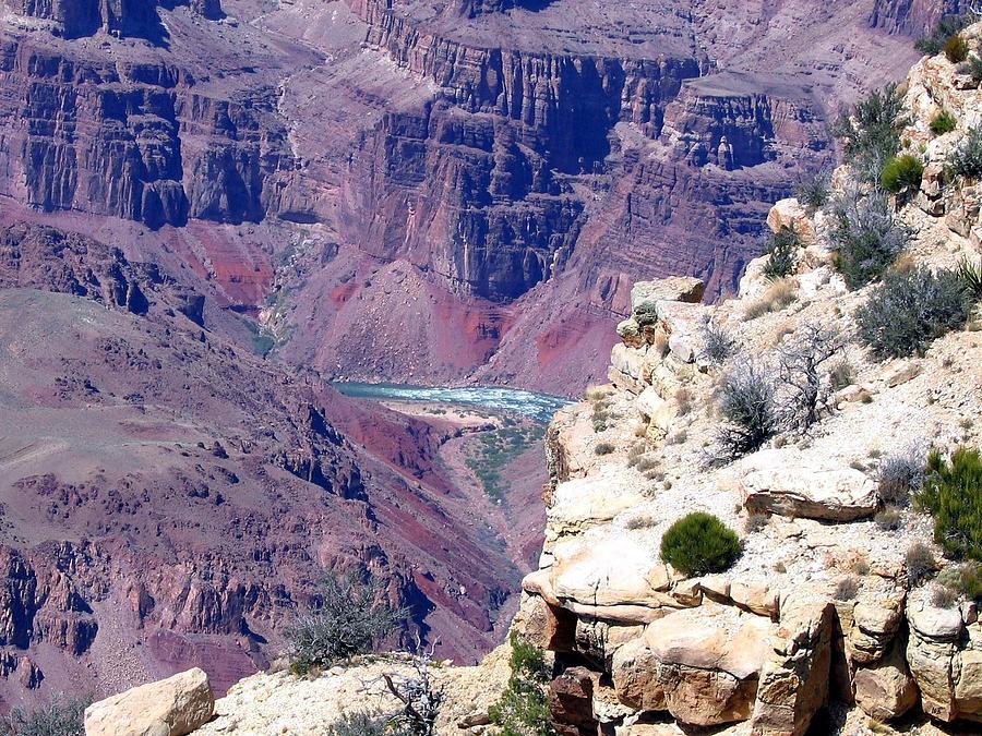 Grand Canyon 9 #1 Photograph by Will Borden