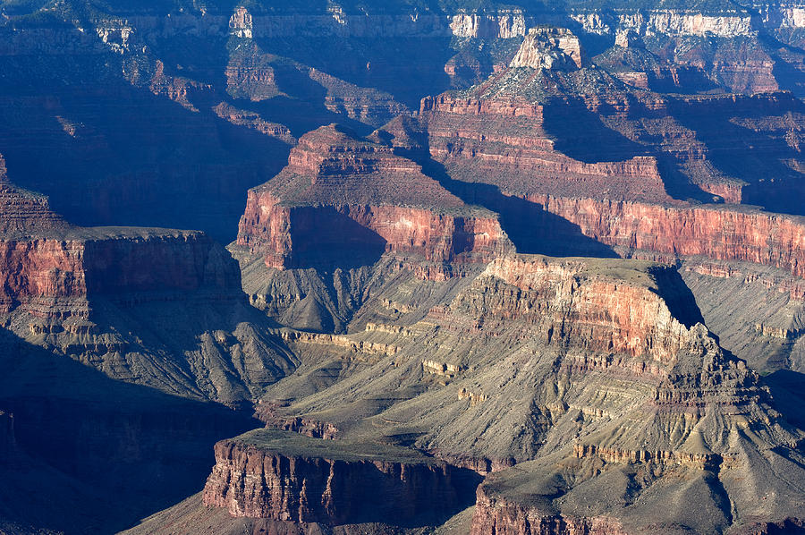 Grand Canyon Shadows #1 Photograph by Julie Niemela