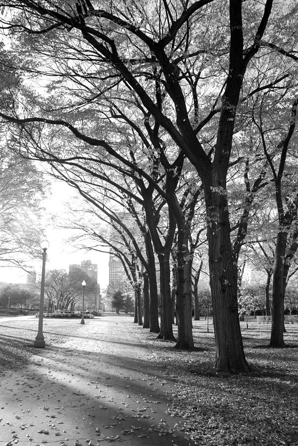 Grant Park #1 Photograph by Anthony Citro
