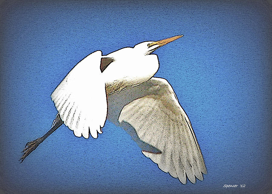 Great Egret #1 Photograph by T Guy Spencer