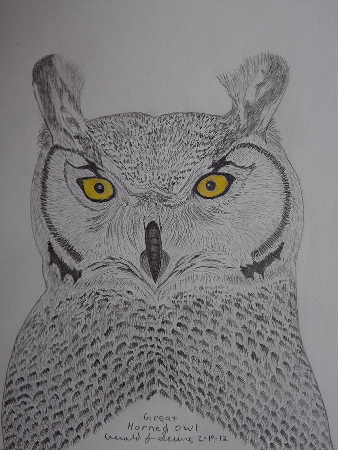 Owl Drawing - Great Horned Owl #1 by Gerald Strine