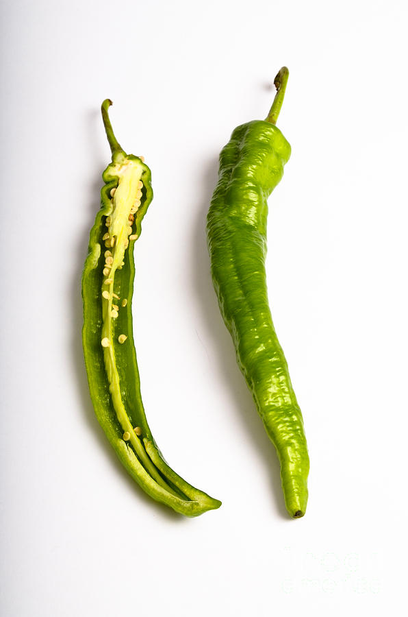 Green Chili Pepper Photograph by Photo Researchers, Inc.