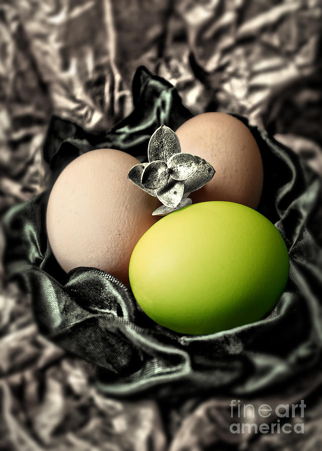 Green Classy Easter egg #1 Photograph by Danuta Bennett