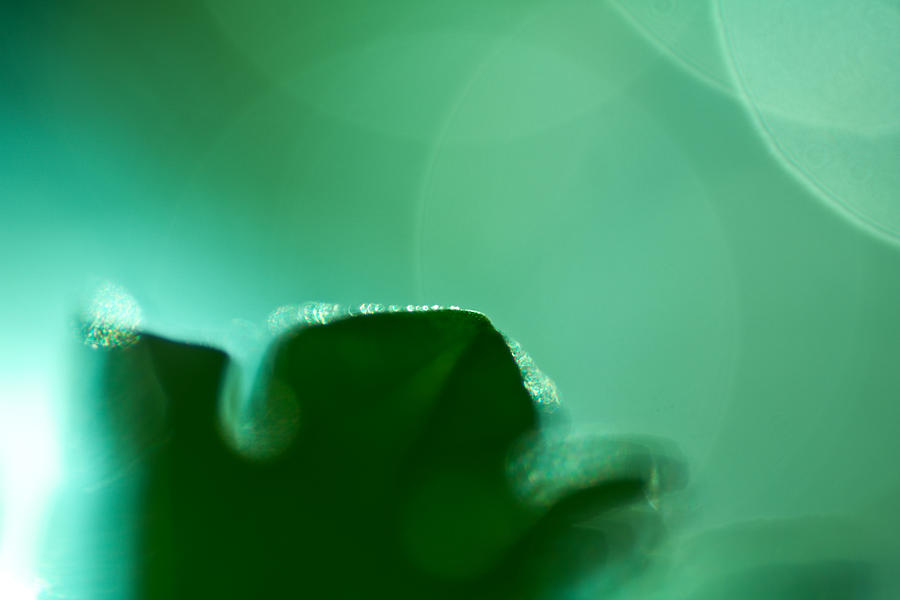 Abstract Photograph - Green #1 by Daniel Kulinski