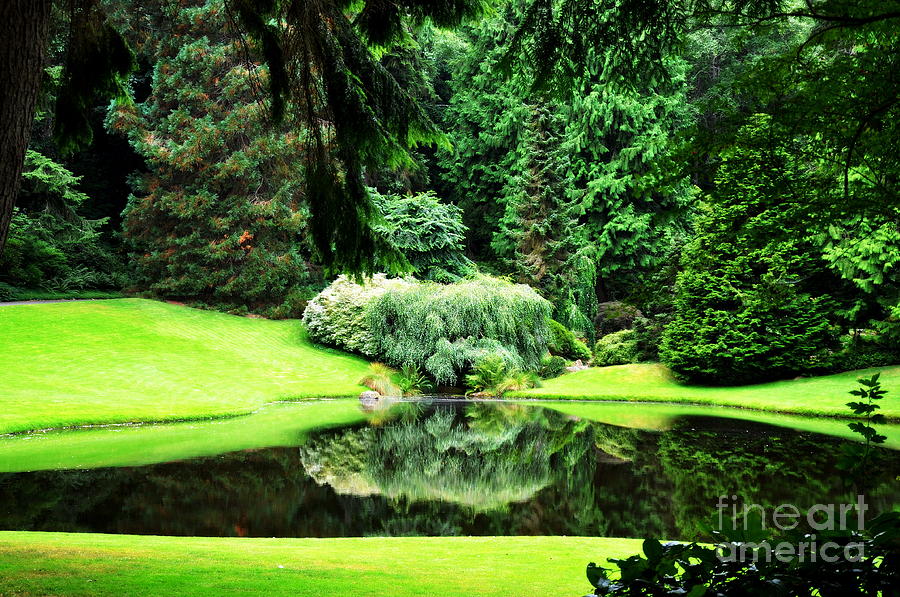 Green Pond  #1 Photograph by Tatyana Searcy