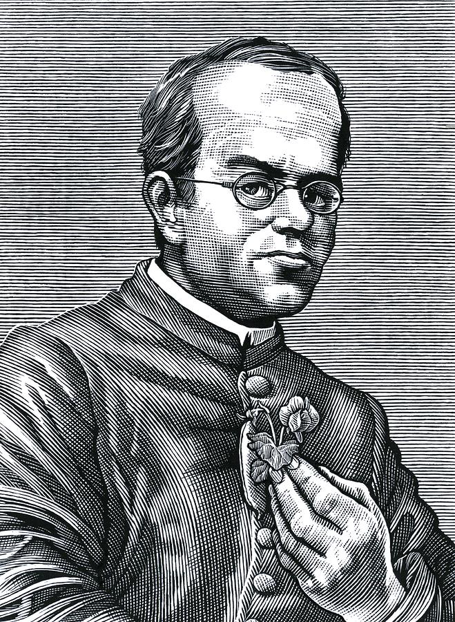 Portrait Photograph - Gregor Mendel, Austrian Botanist #1 by Bill Sanderson