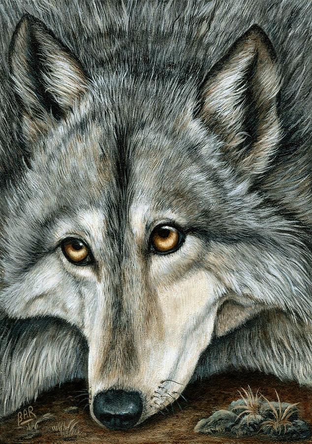 Wildlife Painting - Grey Wolf #1 by Barbara Robertson