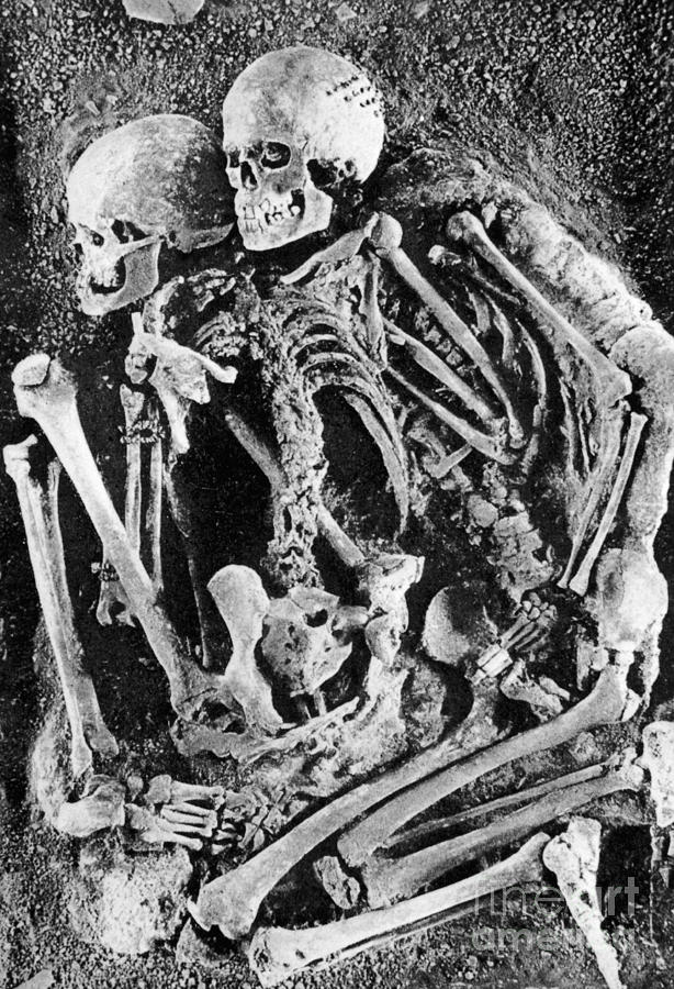 Grimaldi Skeletons #2 Photograph by Science Source