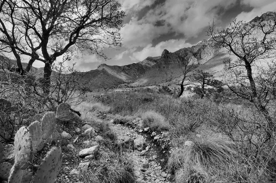 Guadalupe Mountains Morning #1 Photograph by Stephen Vecchiotti