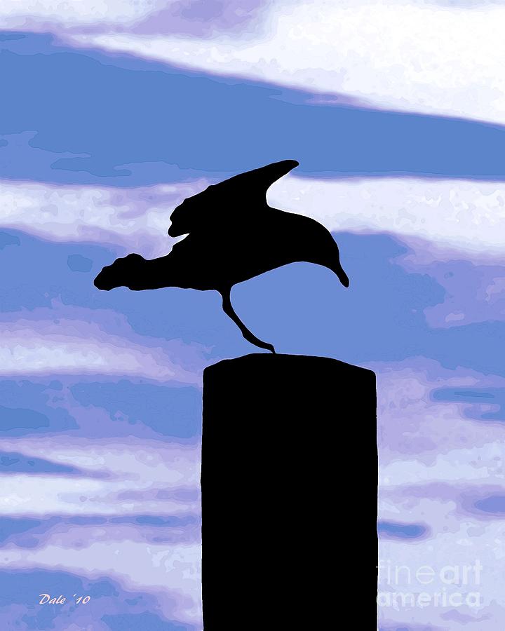 Gull Silhouette #1 Digital Art by Dale   Ford