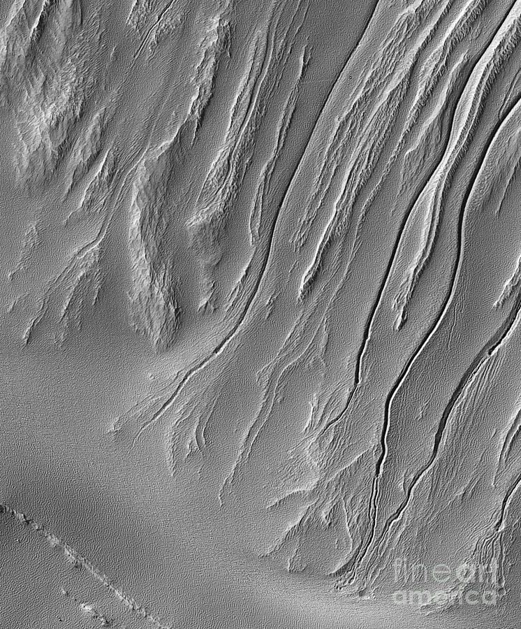 Gullies In Terra Sirenum, Mars #1 Photograph by Nasa
