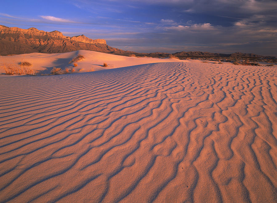 Gypsum Dunes Guadalupe Mountains Photograph by Tim Fitzharris
