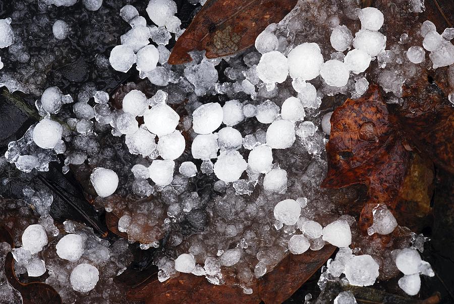 hailstones-photograph-by-colin-varndell-fine-art-america