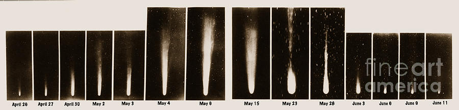 Science Photograph - Halleys Comet, 1910 #1 by Science Source