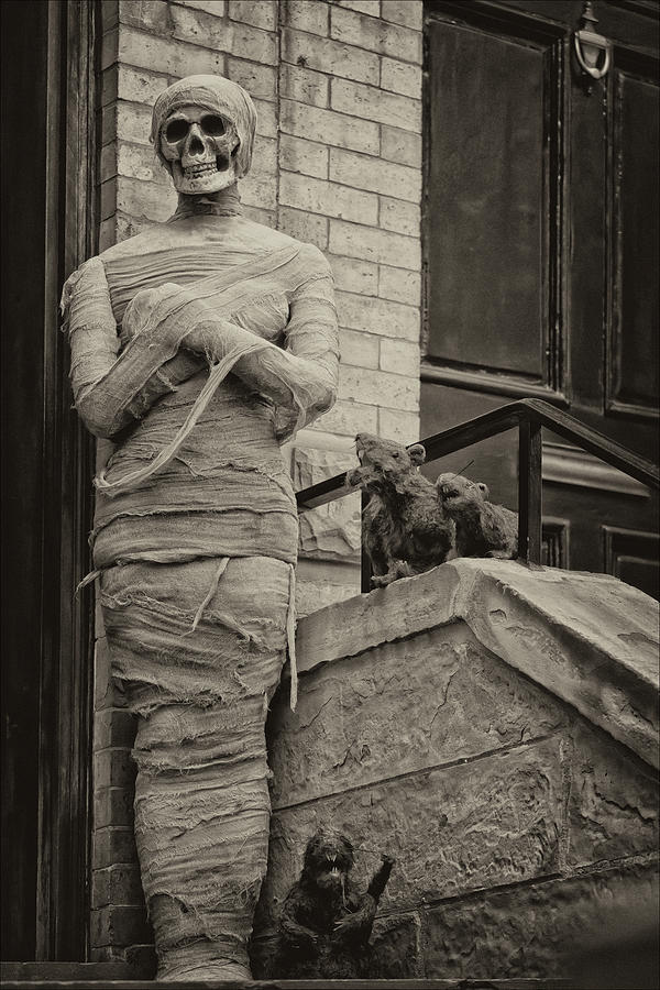 Halloween Decoration Mummy #1 Photograph by Robert Ullmann