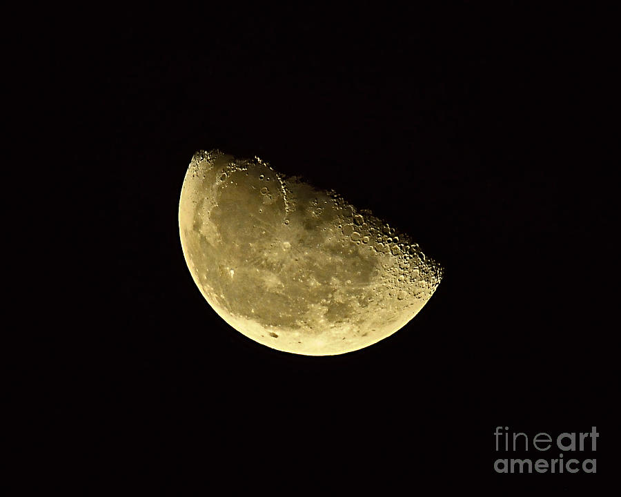 Handsome Half Moon Photograph by Al Powell Photography USA