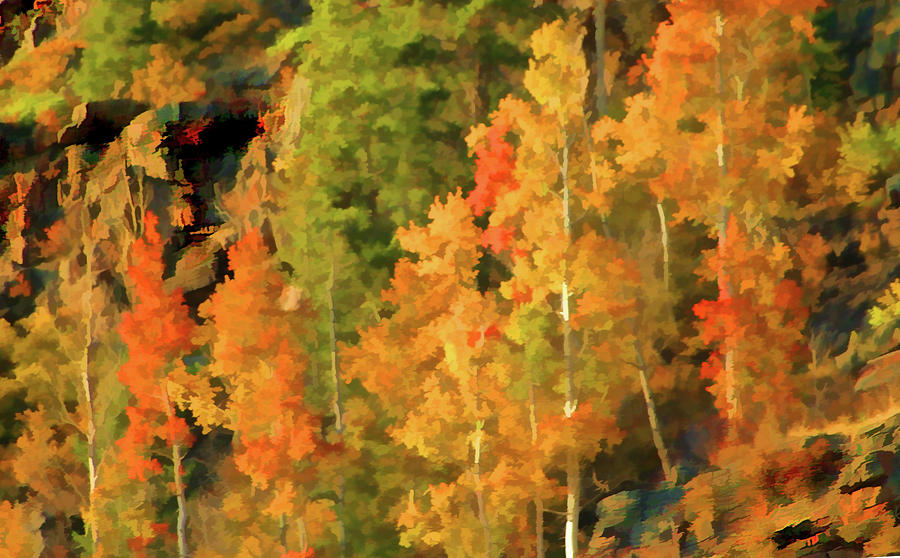 Hang Gliding the Autumn Colors #1 Digital Art by Gary Baird