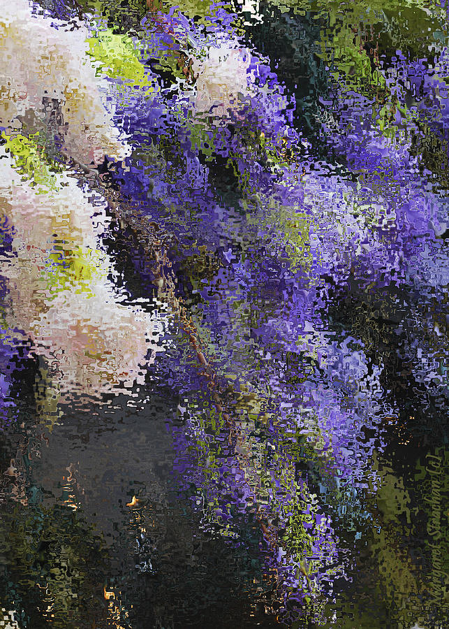 Hanging Wisteria Impression Photograph by Peggie Strachan