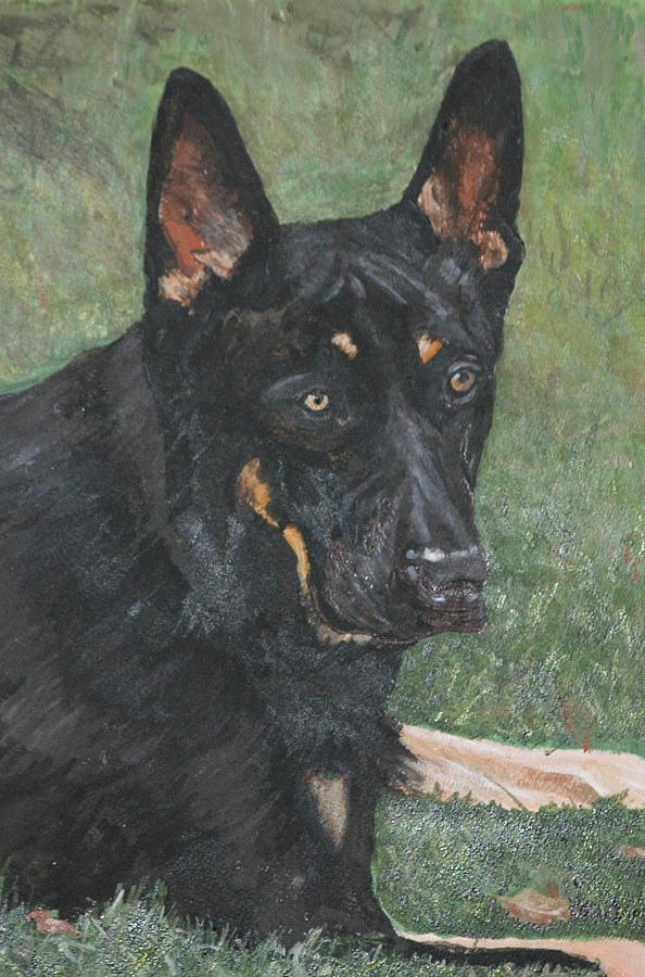Dog Painting - Harley #1 by Betty-Anne McDonald