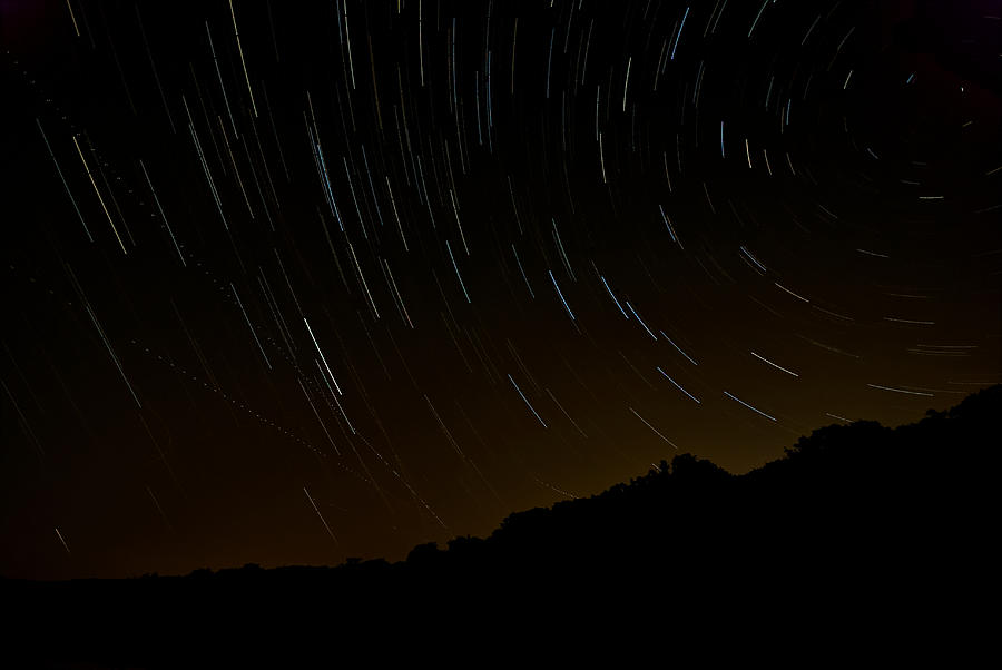 Tree Photograph - Harriman Star Trails #1 by Mike Horvath