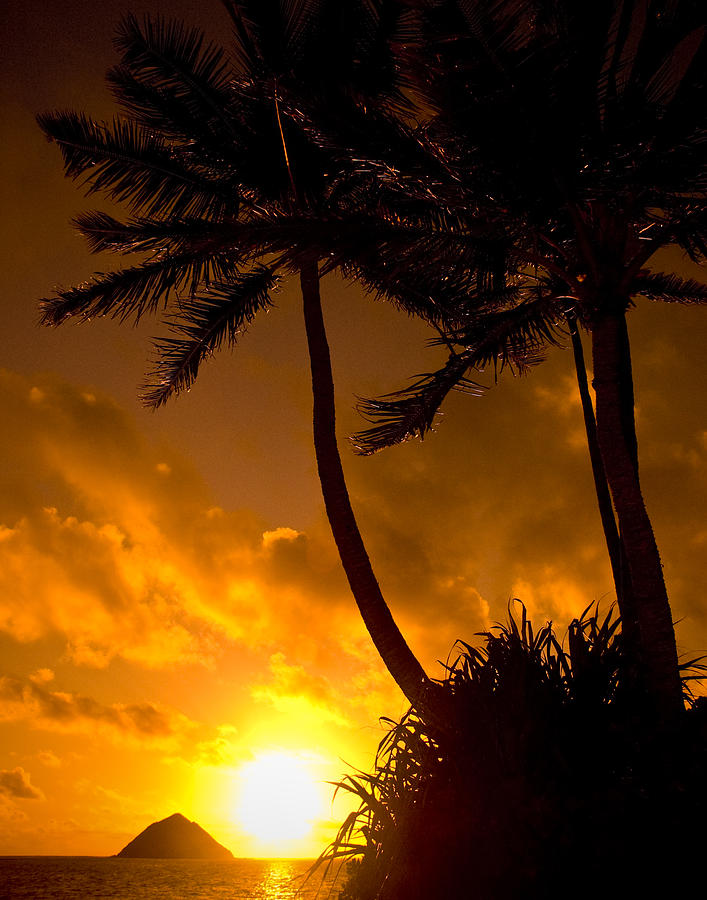 Hawaiian Sunset #1 Photograph by Mickey Clausen