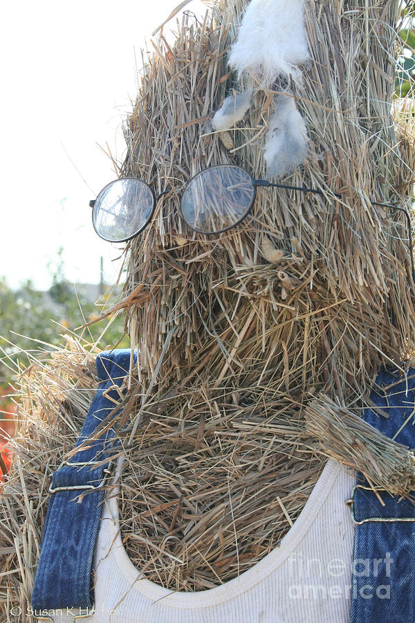 Hay Man #1 Photograph by Susan Herber