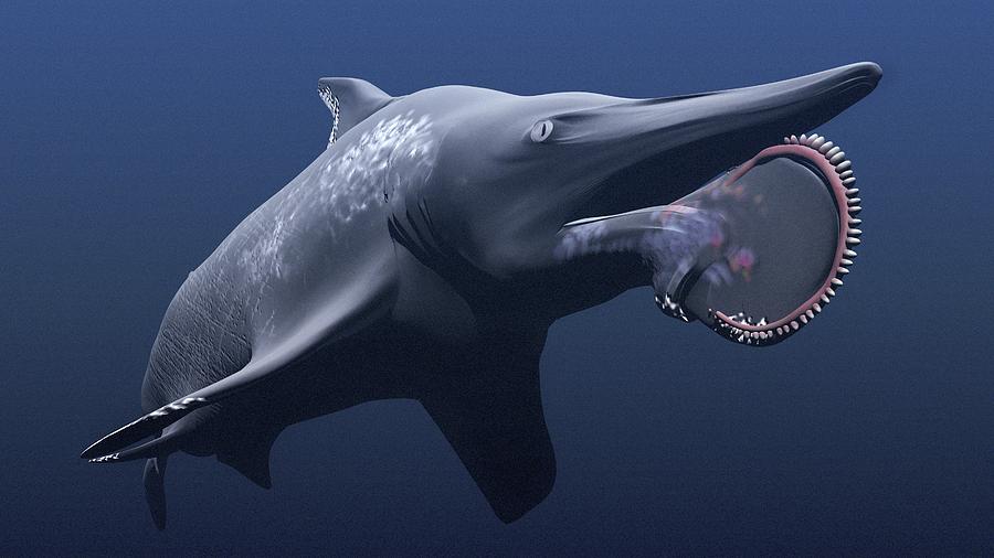 1 helicoprion prehistoric shark christian darkin