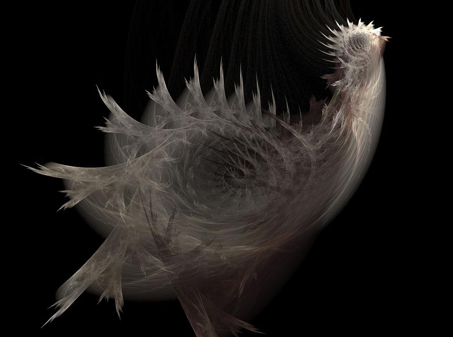 Hen #1 Digital Art by Michele Caporaso