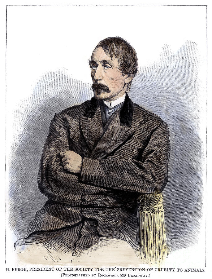 Portrait Photograph - Henry Bergh (1811-1888) #1 by Granger