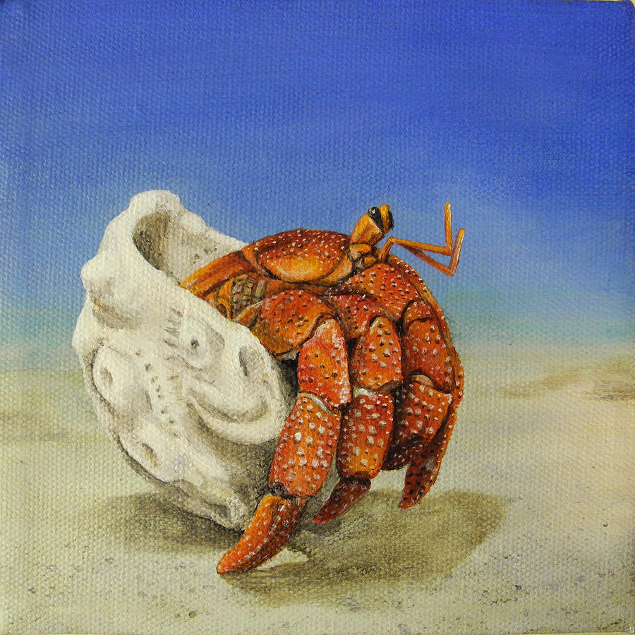 Beach Painting - Hermit Crab #1 by Cindy D Chinn