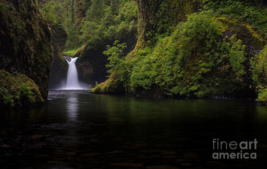 Hidden Falls #2 Photograph by Mike Reid