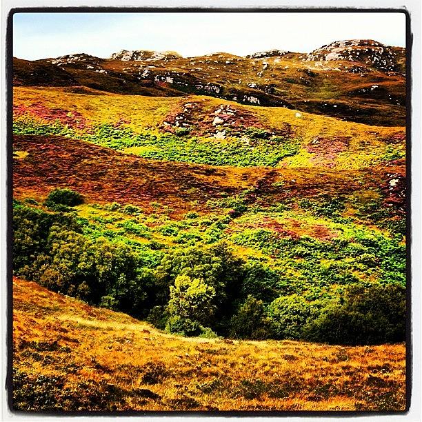 Nature Photograph - Highlands Colors #1 by Luisa Azzolini