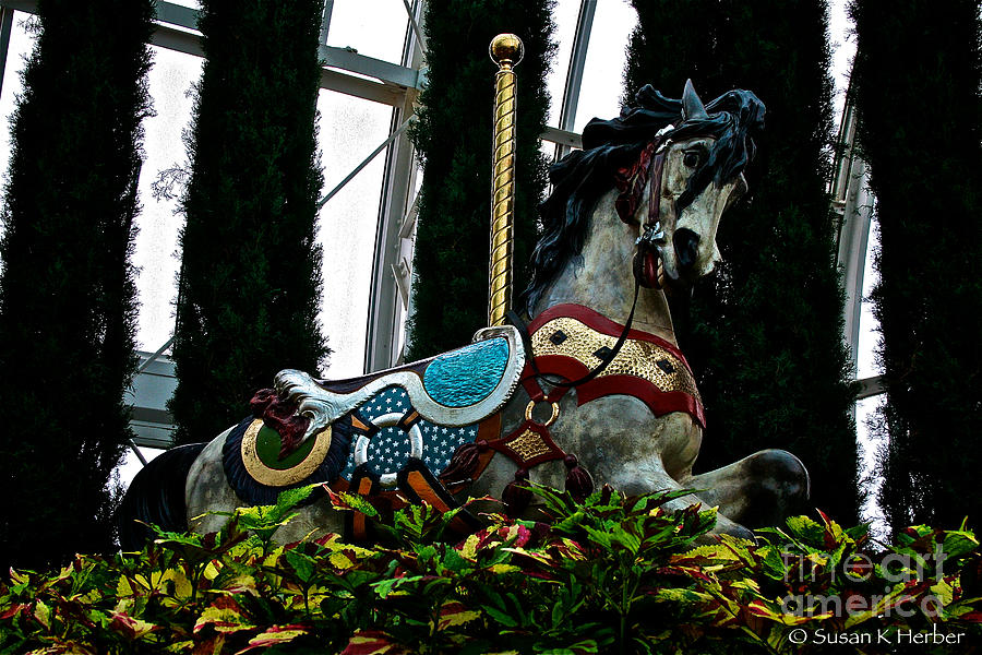 Holiday Horse #1 Photograph by Susan Herber
