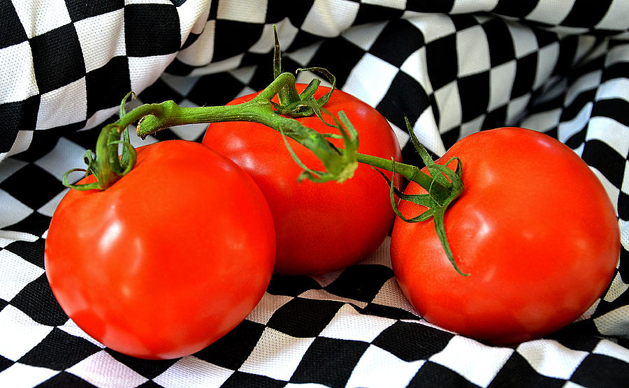 Tomato Photograph - Home Grown........ #2 by Tanya Tanski