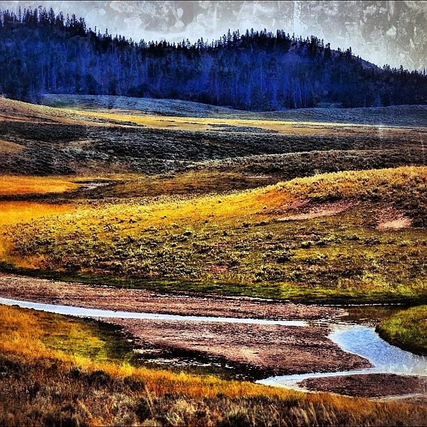 Yellowstone National Park Photograph - Home, Home On The Range. Yellowstone #1 by Chris Bechard