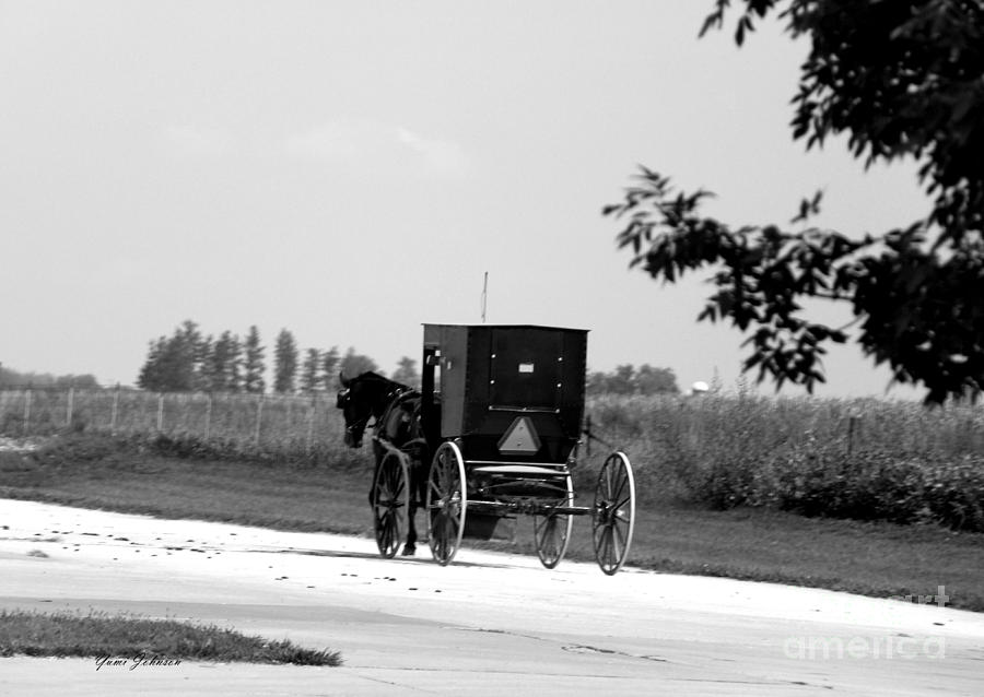 Horse and Buggy on the road #1 Photograph by Yumi Johnson