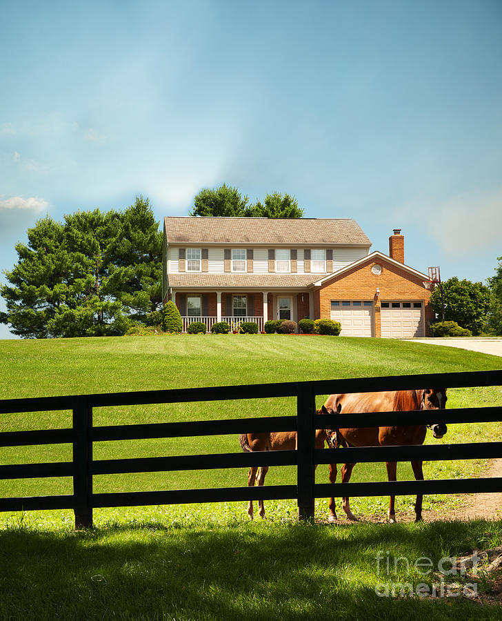 Horse Farm in Kentucky USA Photograph by Anne Kitzman - Fine Art America