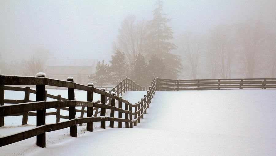 Horse Farm In The Winter #1 Photograph by Nick Mares