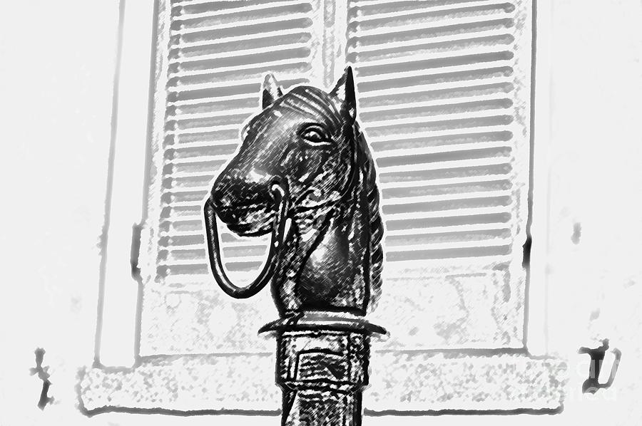 Horse Head Hitching Post Macro French Quarter New Orleans Black and White Colored Pencil Digital Art #1 Digital Art by Shawn OBrien