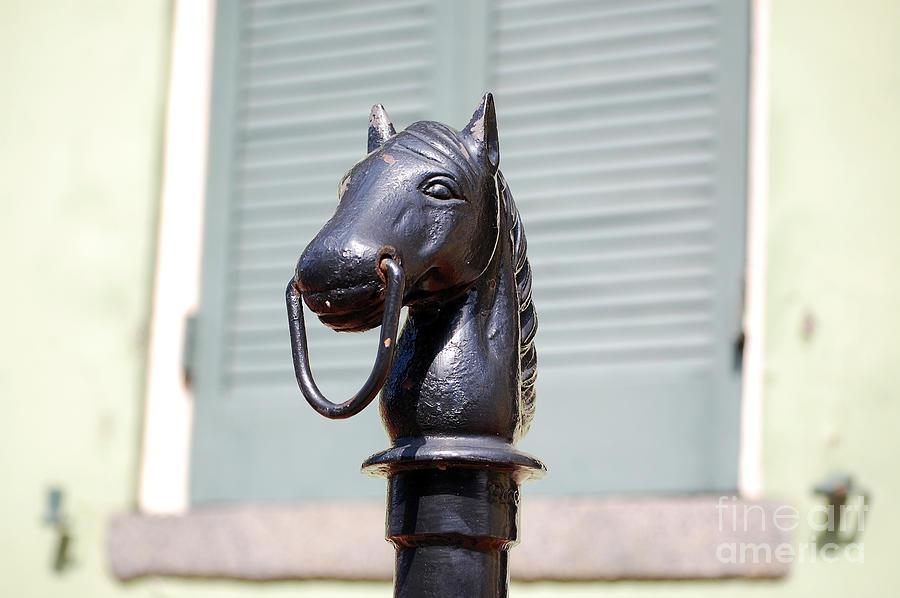 Horse Head Pole Hitching Post Macro French Quarter New Orleans Photograph by Shawn OBrien