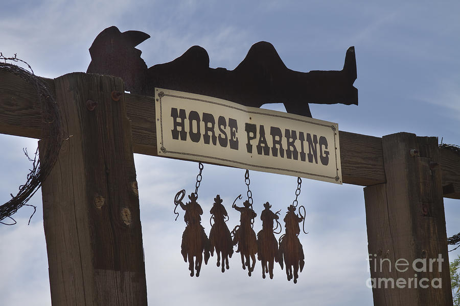 Horse Photograph - Horse Parking  #2 by James BO Insogna