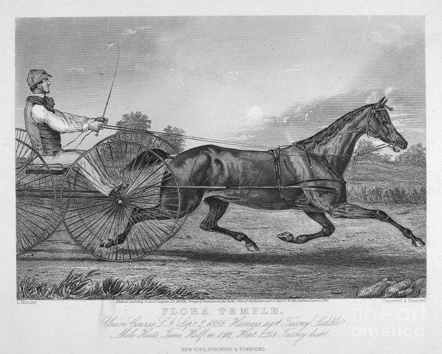 Horse Racing, 1857 #1 Photograph by Granger