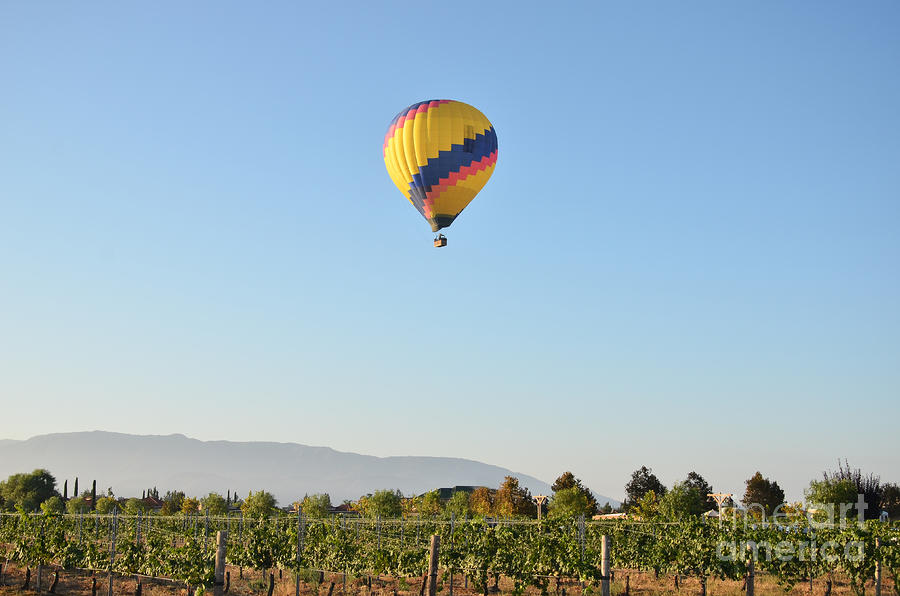 Hot Air Balloon over Vineyard #1 Photograph by Timothy OLeary
