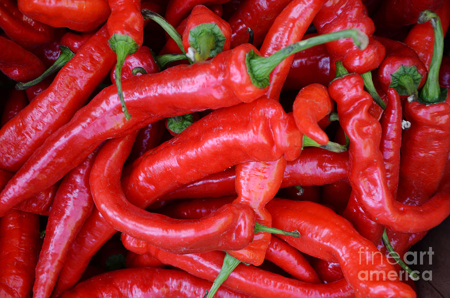 Hot Peppers-1 #1 Photograph by Steve Somerville