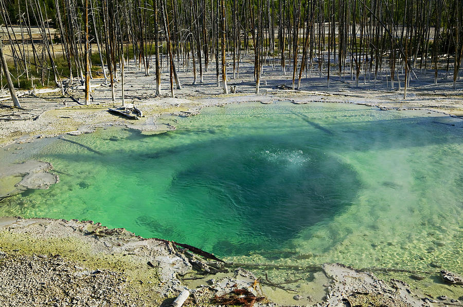 Yellowstone National Park Photograph - Hot springs Yellowstone National Park #2 by Garry Gay